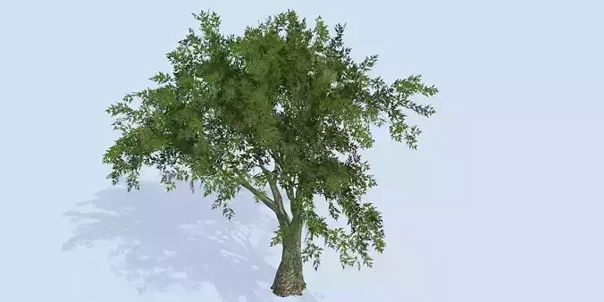 Lowpoly 3Dmodel tree VR AR game 3LOD number68