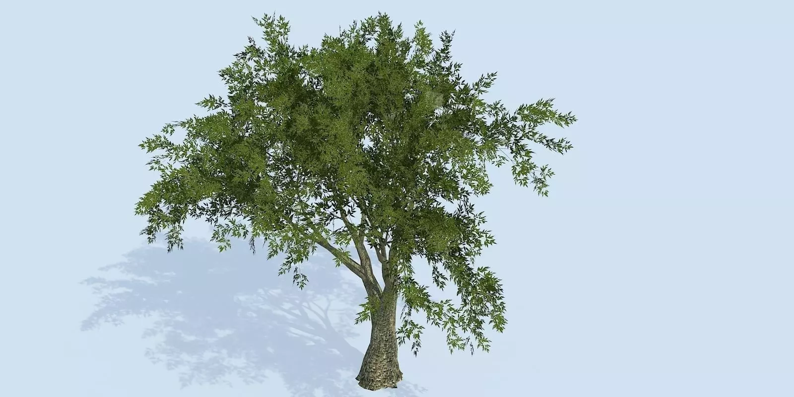 Lowpoly 3Dmodel tree VR AR game 3LOD number68 Low-poly 3D model_0