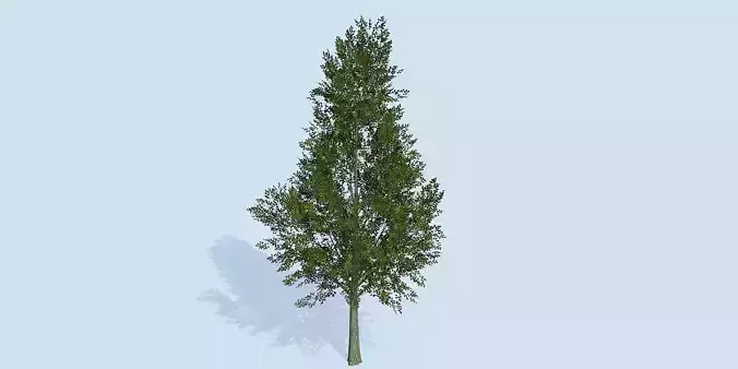 Lowpoly 3Dmodel tree VR AR game 3LOD number69 Low-poly 3D model