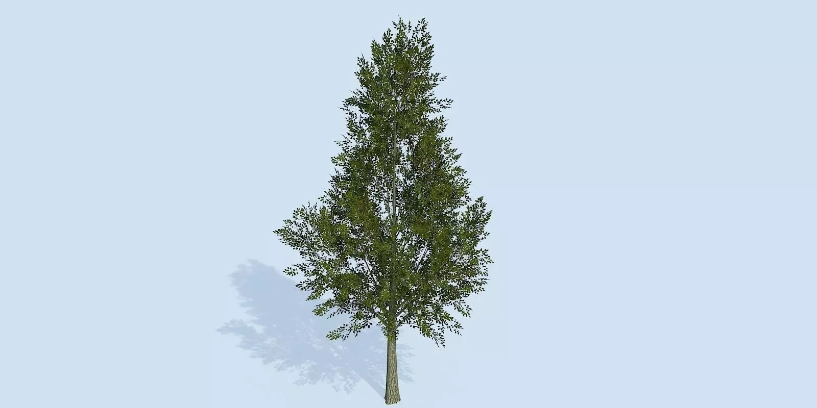 Lowpoly 3Dmodel tree VR AR game 3LOD number69 Low-poly 3D model_0