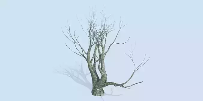 Lowpoly 3Dmodel tree VR AR game 3LOD number70