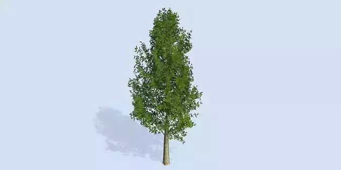 Lowpoly 3Dmodel tree VR AR game 3LOD number71