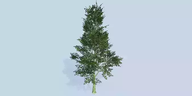 Lowpoly 3Dmodel tree VR AR game 3LOD number74