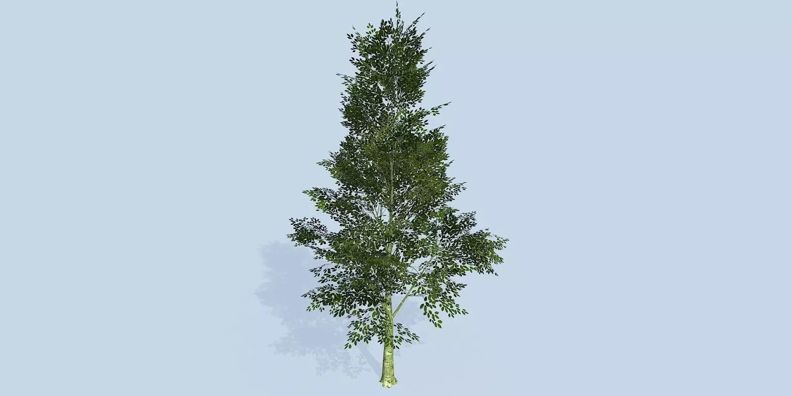 Lowpoly 3Dmodel tree VR AR game 3LOD number74 Low-poly 3D model_0