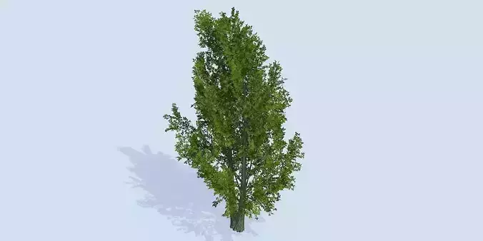 Lowpoly 3Dmodel tree VR AR game 3LOD number76