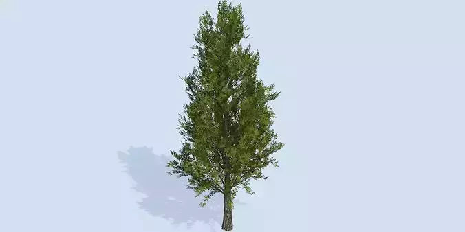 Lowpoly 3Dmodel tree VR AR game 3LOD number78