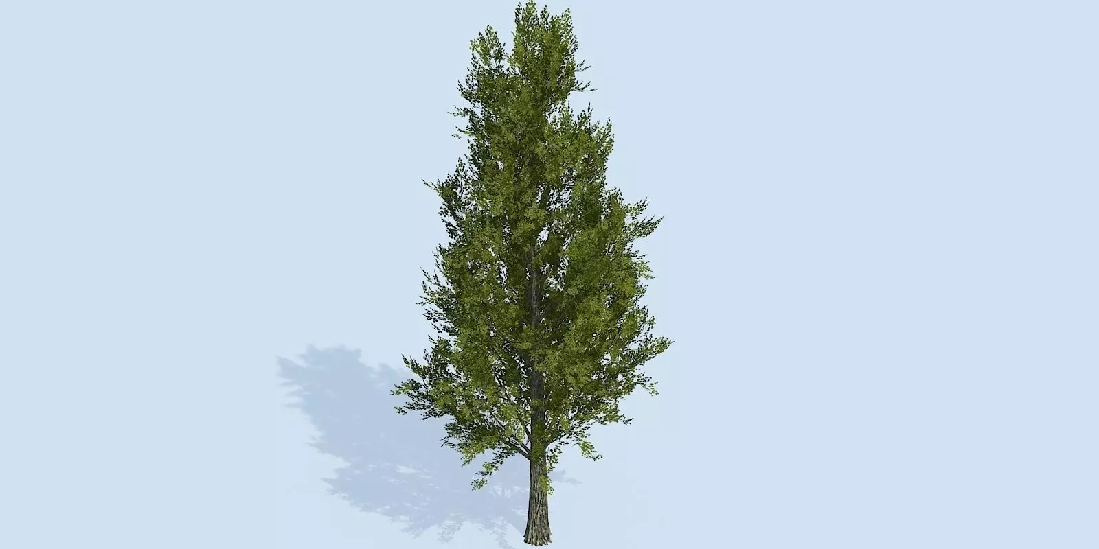 Lowpoly 3Dmodel tree VR AR game 3LOD number78 Low-poly 3D model_0
