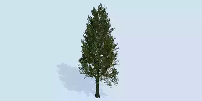 Lowpoly 3Dmodel tree VR AR game 3LOD number79