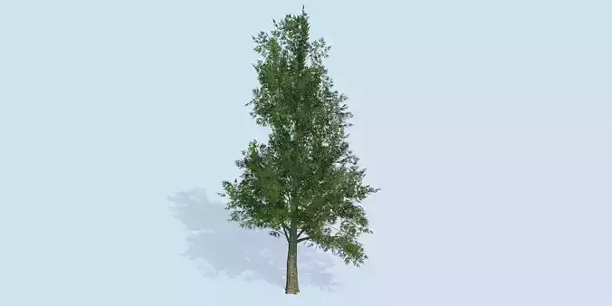 Lowpoly 3Dmodel tree VR AR game 3LOD number82