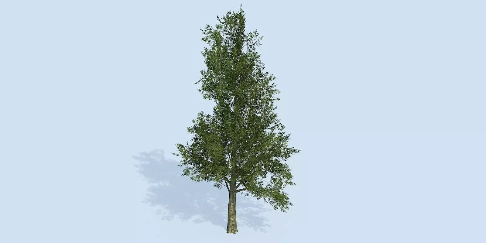Lowpoly 3Dmodel tree VR AR game 3LOD number82 Low-poly 3D model_0