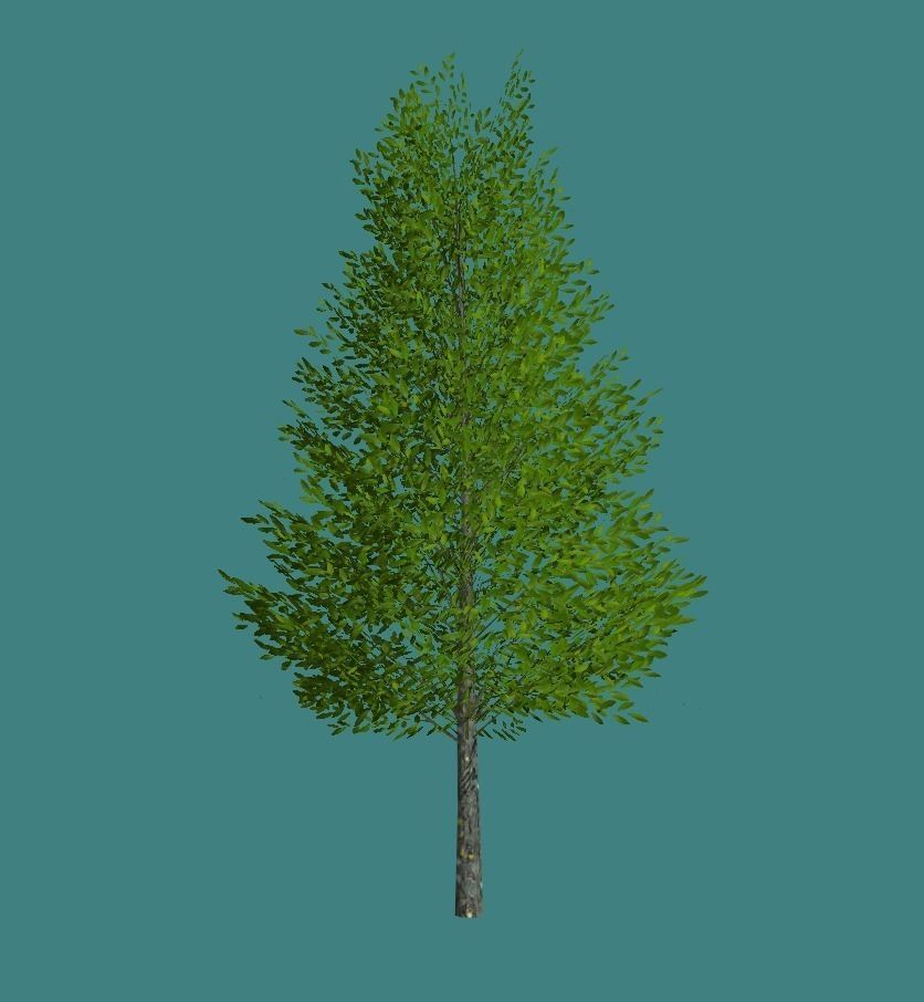 Lowpoly 3Dmodel tree VR AR game 3LOD number1-10 Low-poly 3D model_1