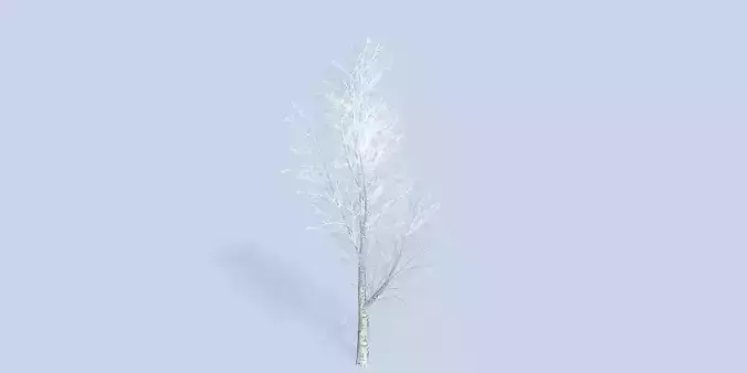 Lowpoly 3Dmodel tree VR AR game 3LOD number32-41