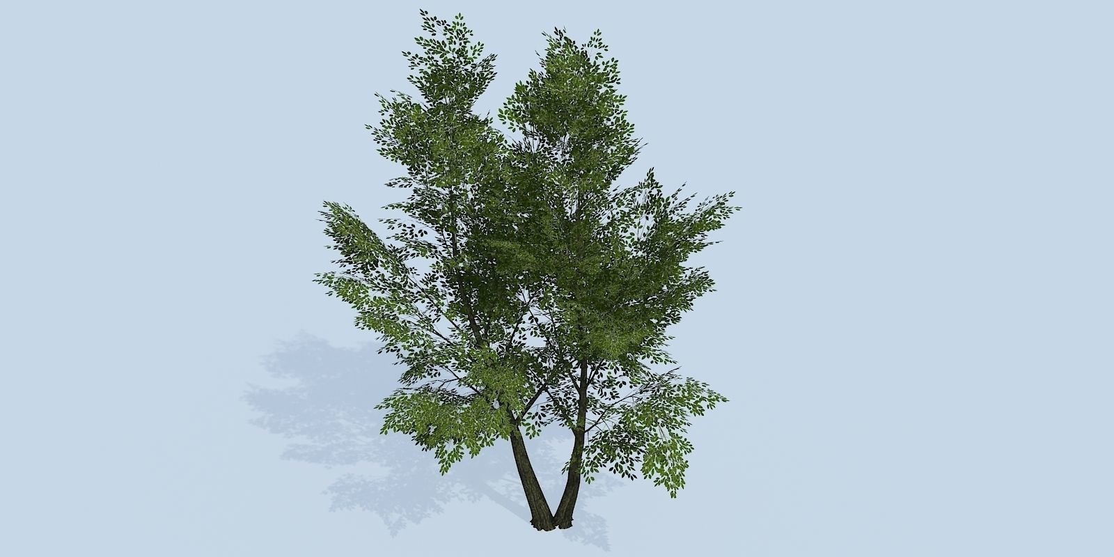 Lowpoly 3Dmodel tree VR AR game 3LOD number42-51 Low-poly 3D model_6