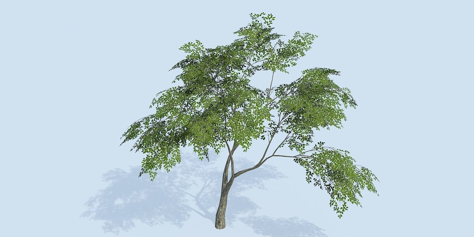 Lowpoly 3Dmodel tree VR AR game 3LOD number42-51 Low-poly 3D model_4