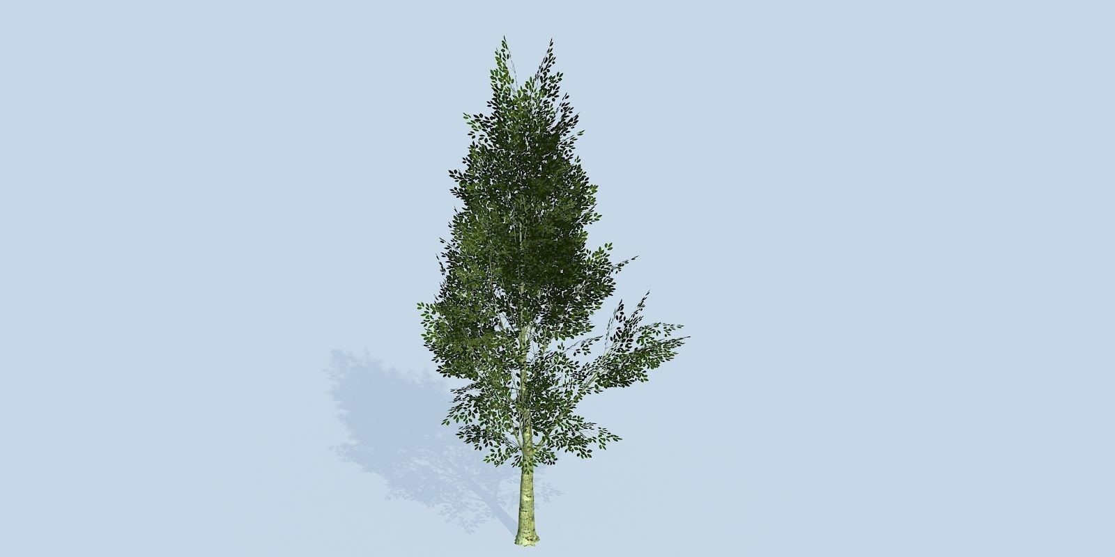 Lowpoly 3Dmodel tree VR AR game 3LOD number42-51 Low-poly 3D model_7