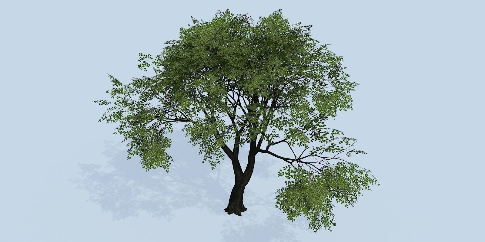 Lowpoly 3Dmodel tree VR AR game 3LOD number42-51 Low-poly 3D model_9