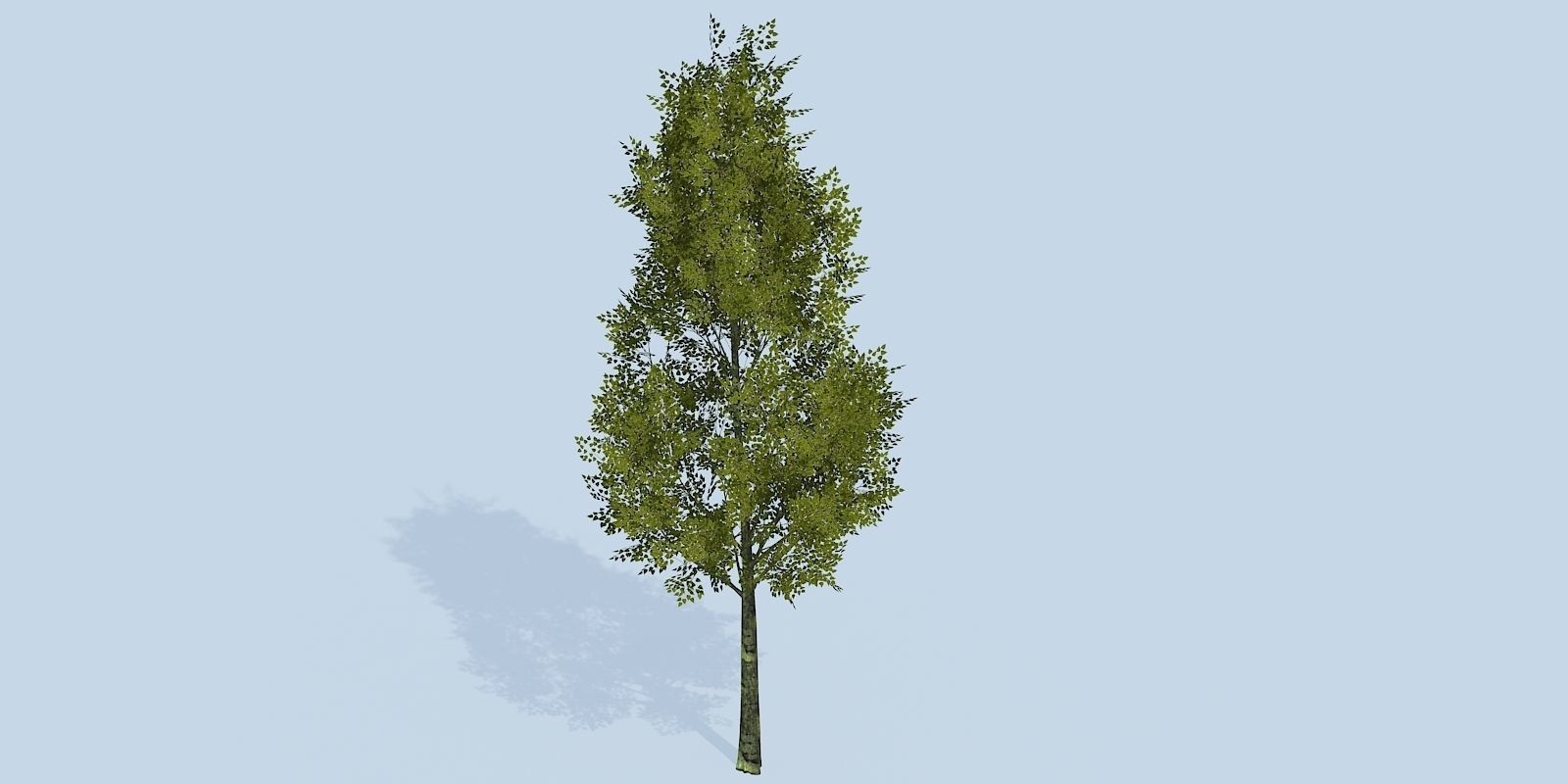 Lowpoly 3Dmodel tree VR AR game 3LOD number42-51 Low-poly 3D model_3