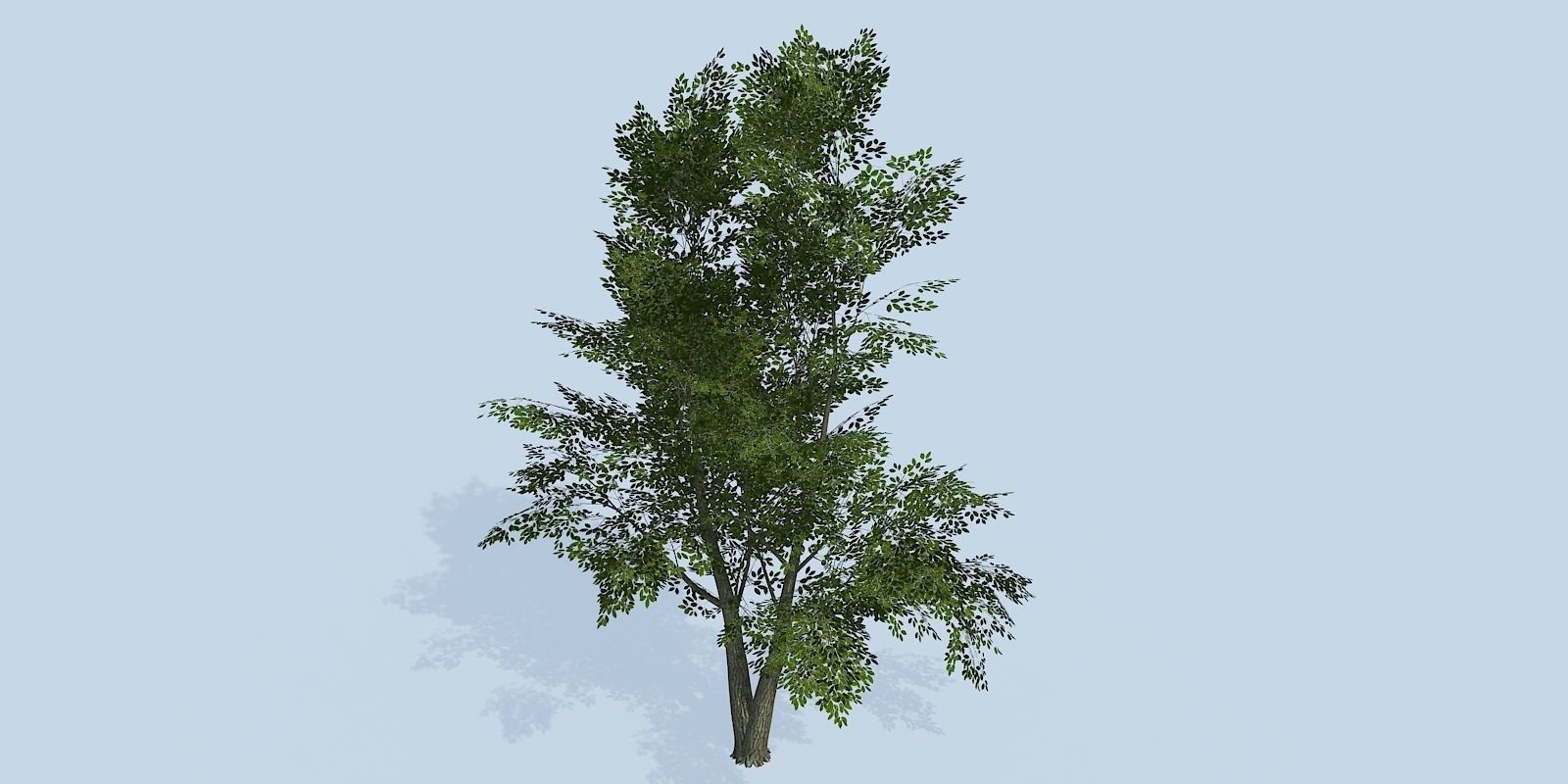 Lowpoly 3Dmodel tree VR AR game 3LOD number42-51 Low-poly 3D model_5