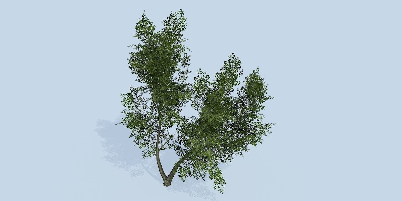 Lowpoly 3Dmodel tree VR AR game 3LOD number42-51 Low-poly 3D model_1