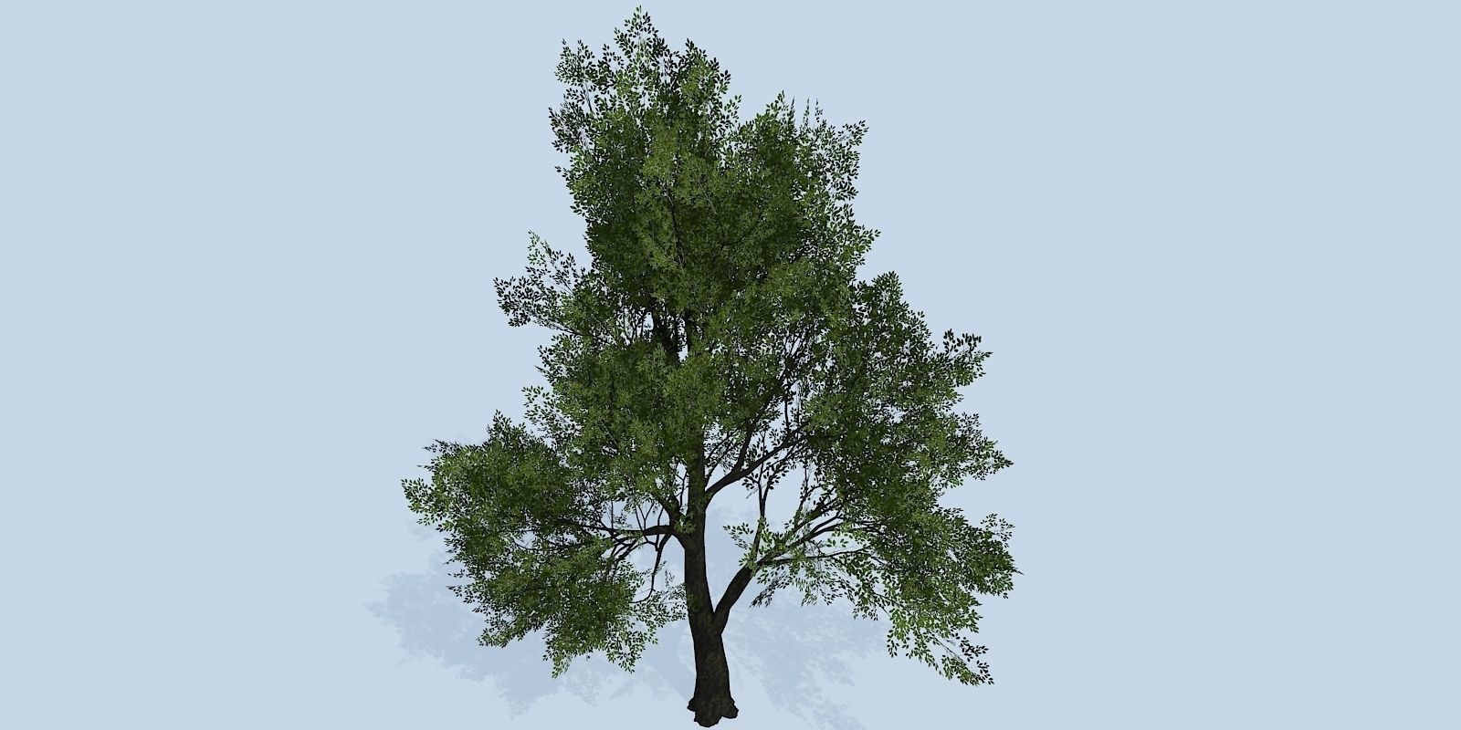 Lowpoly 3Dmodel tree VR AR game 3LOD number52-61 Low-poly 3D model_8