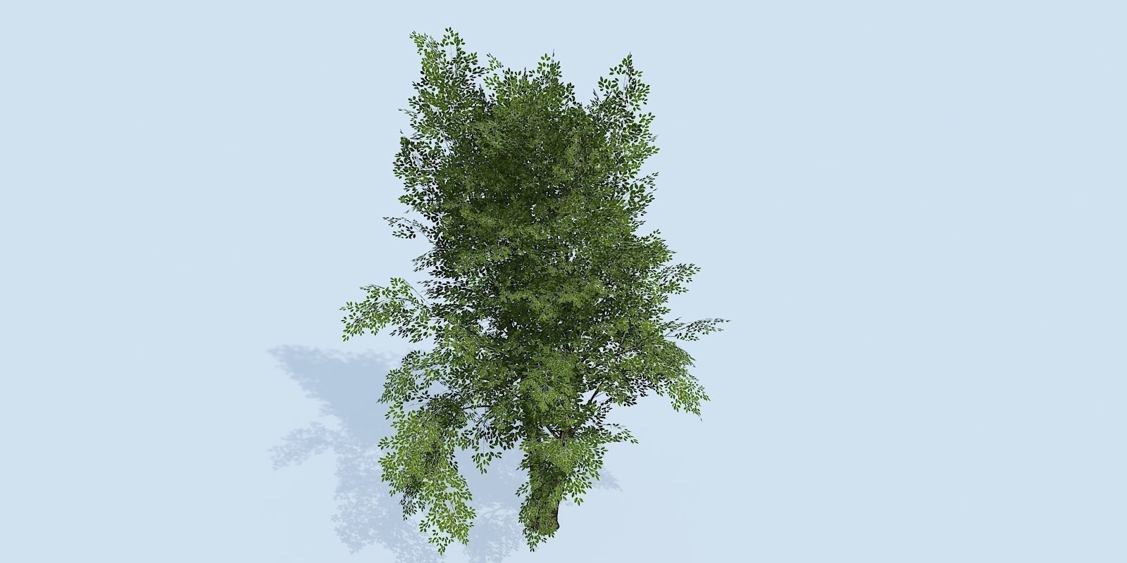 Lowpoly 3Dmodel tree VR AR game 3LOD number52-61 Low-poly 3D model_4