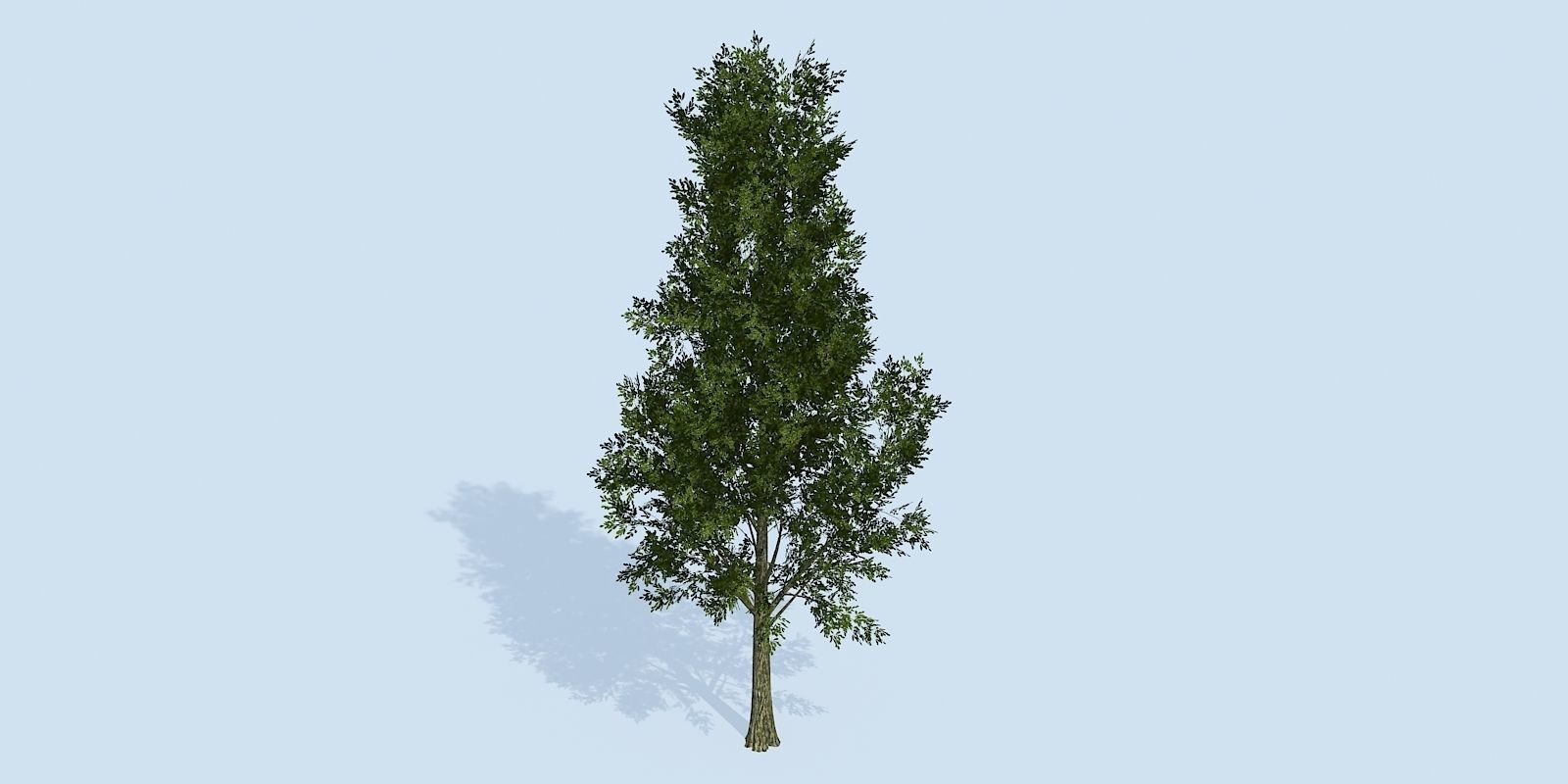 Lowpoly 3Dmodel tree VR AR game 3LOD number52-61 Low-poly 3D model_1