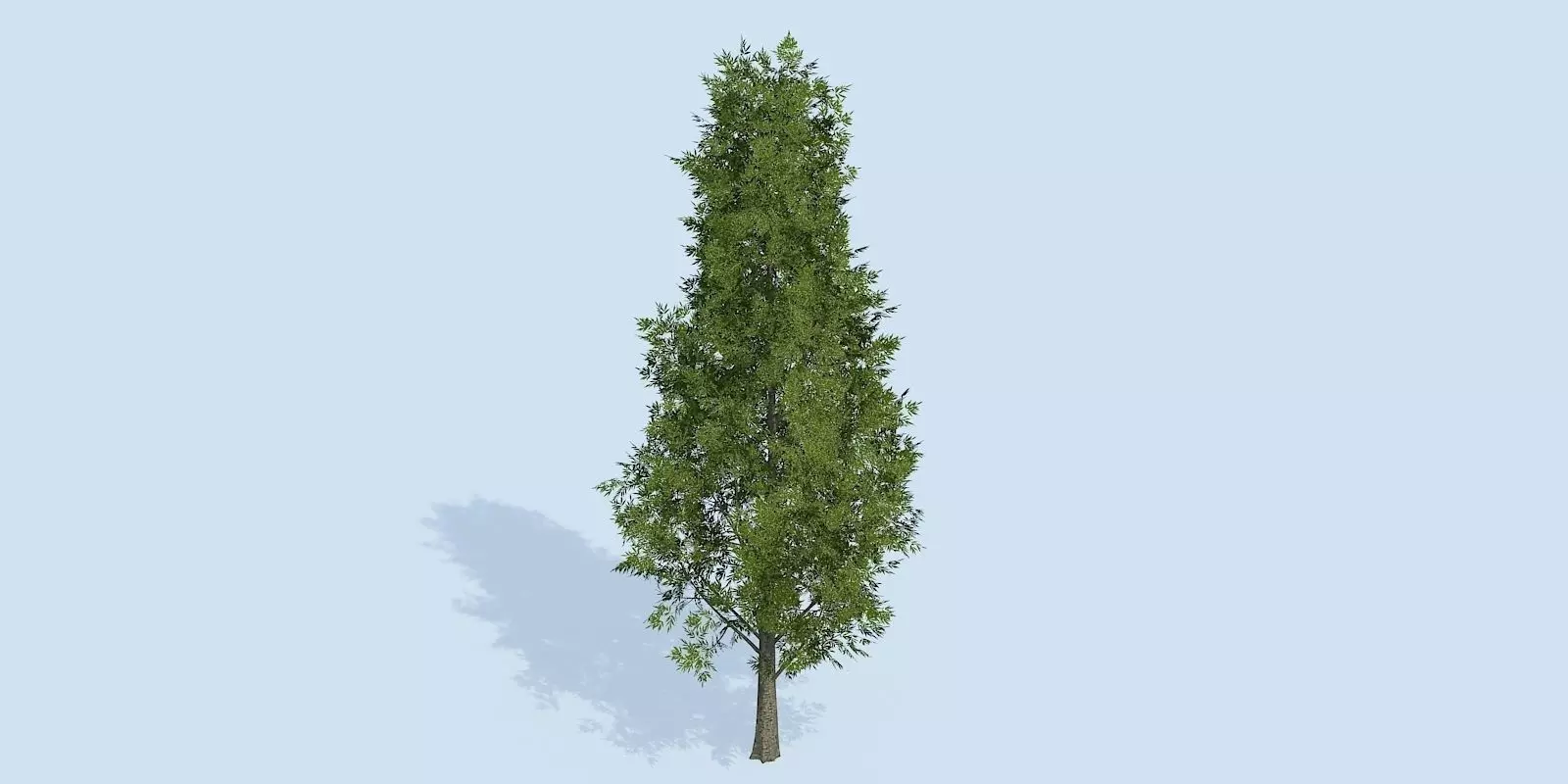 Lowpoly 3Dmodel tree VR AR game 3LOD number52-61 Low-poly 3D model_0
