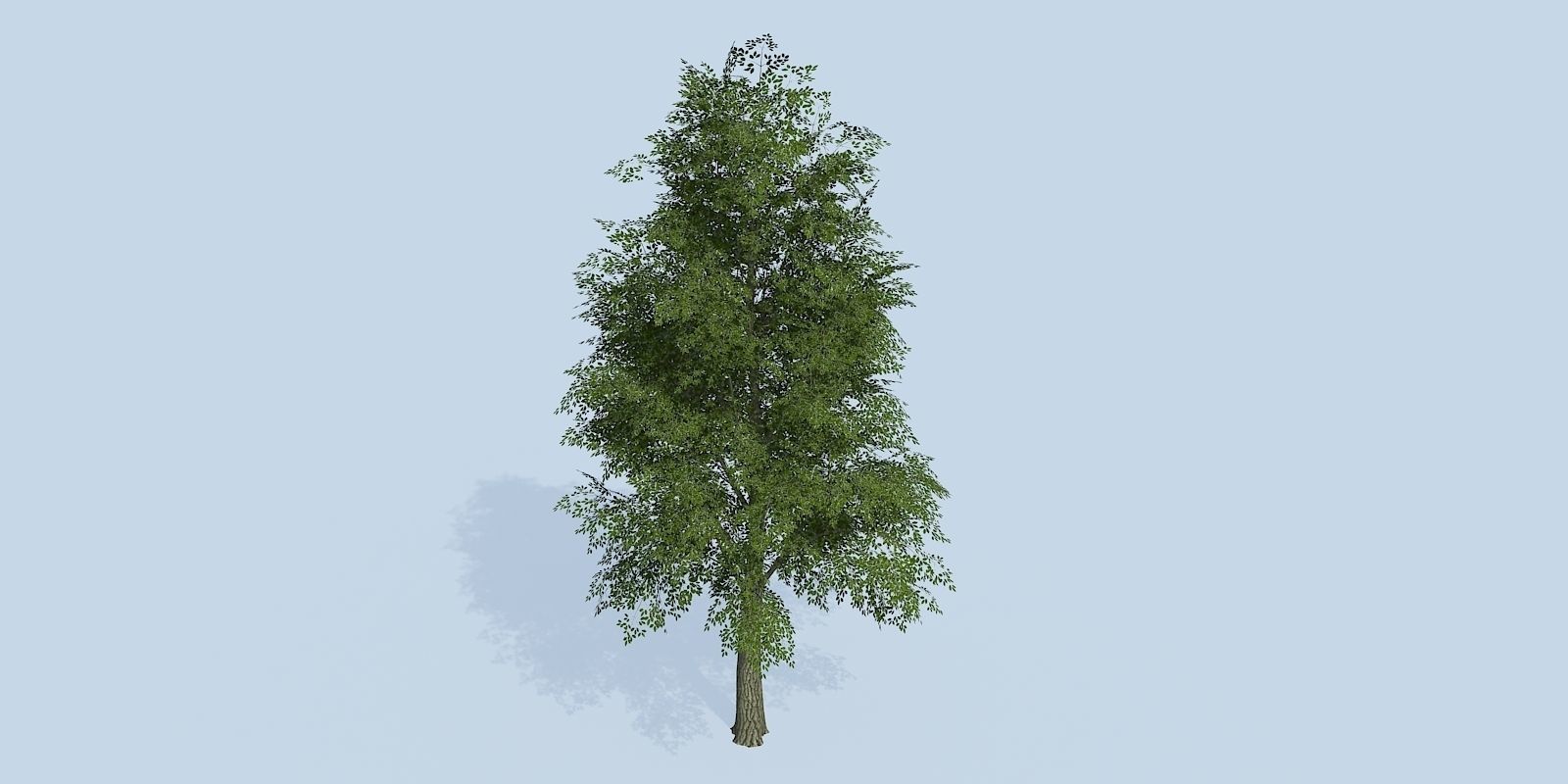 Lowpoly 3Dmodel tree VR AR game 3LOD number52-61 Low-poly 3D model_6