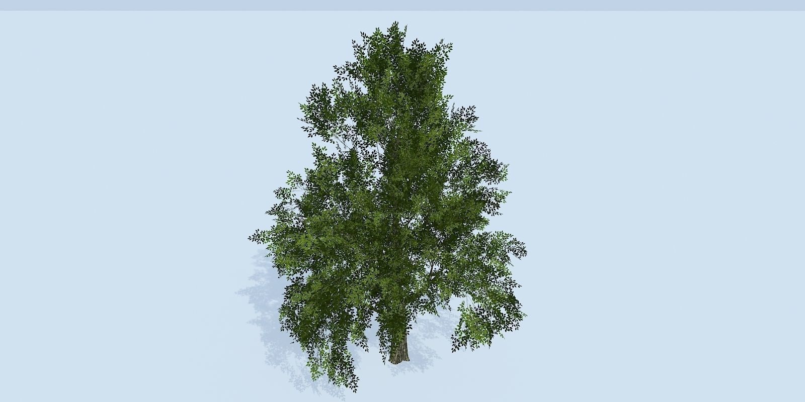 Lowpoly 3Dmodel tree VR AR game 3LOD number52-61 Low-poly 3D model_9