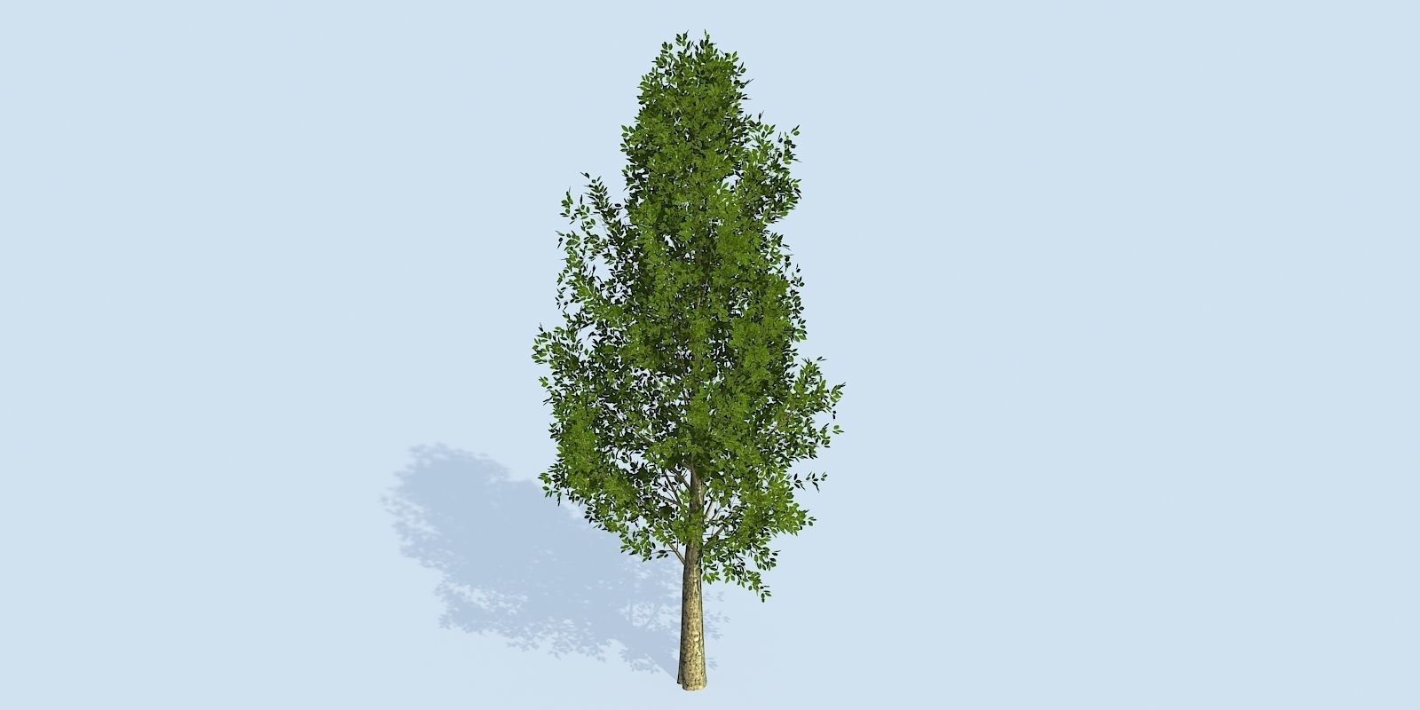 Lowpoly 3Dmodel tree VR AR game 3LOD number62-71 Low-poly 3D model_9