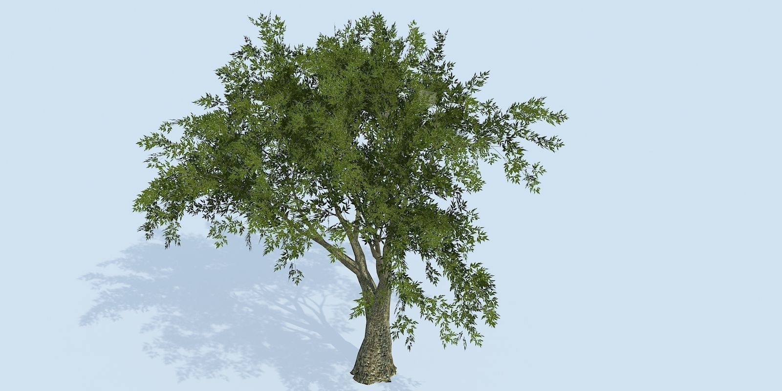 Lowpoly 3Dmodel tree VR AR game 3LOD number62-71 Low-poly 3D model_7