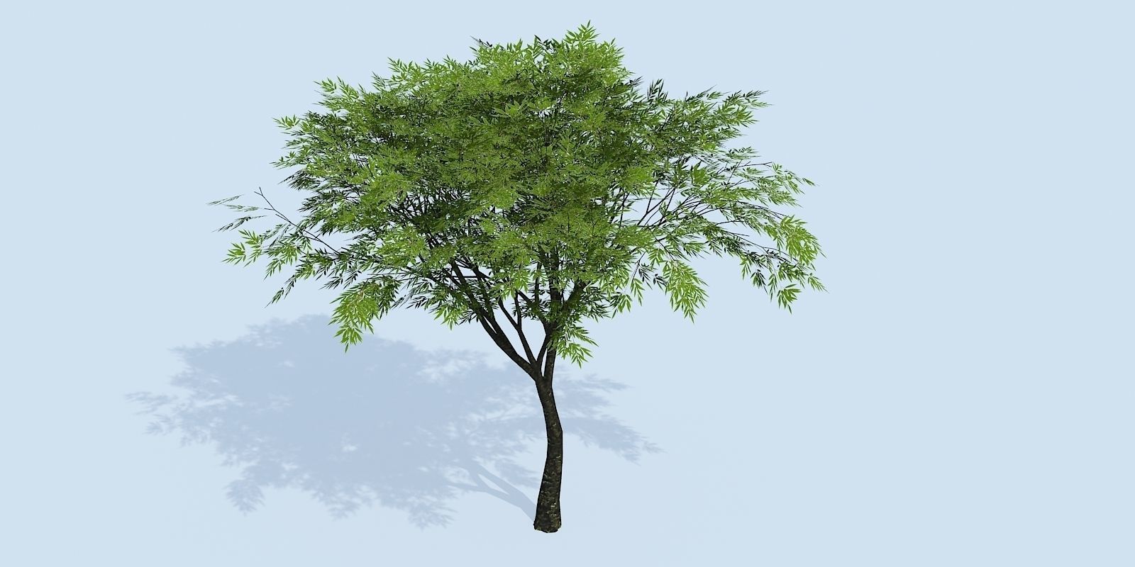 Lowpoly 3Dmodel tree VR AR game 3LOD number62-71 Low-poly 3D model_2