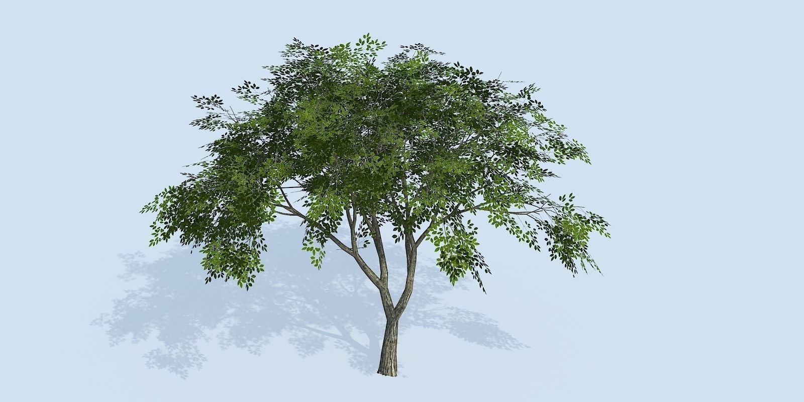 Lowpoly 3Dmodel tree VR AR game 3LOD number62-71 Low-poly 3D model_4