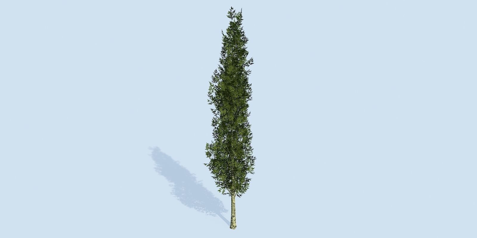 Lowpoly 3Dmodel tree VR AR game 3LOD number62-71 Low-poly 3D model_3