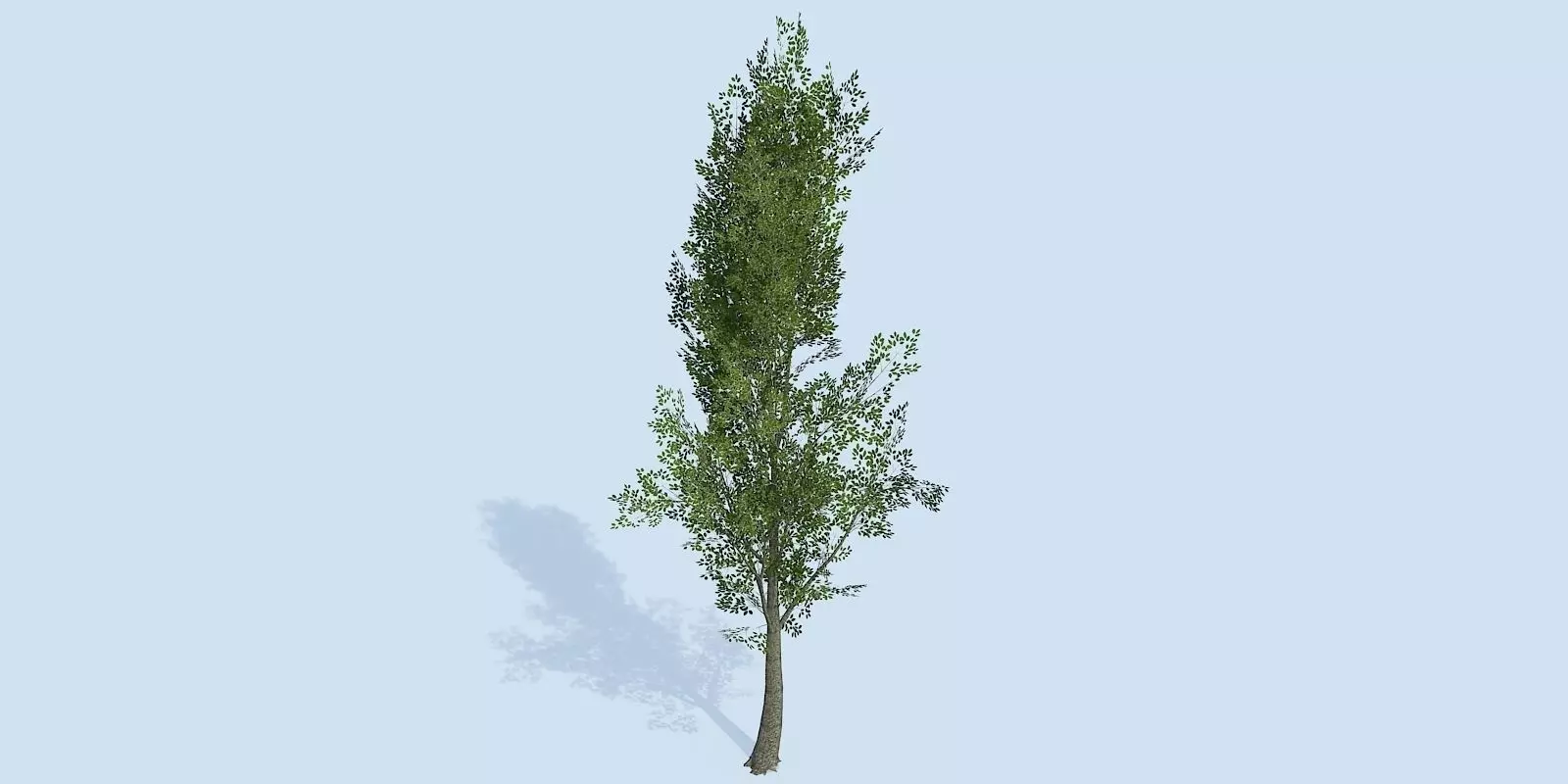 Lowpoly 3Dmodel tree VR AR game 3LOD number62-71 Low-poly 3D model_0