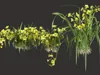 GD26 Orchid Cymbidium Green Boat orchid 3D model | CGTrader