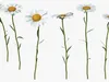Flowers Collection 4 3D Model Pack | CGTrader