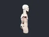 Skeleton Anatomy Torso Bust - AI Generated 3D model | CGTrader