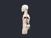 Skeleton Anatomy Torso Bust - AI Generated 3D model | CGTrader