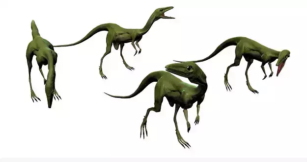 Compsognathus dinosaur Low-poly 3D model