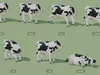 3D model Low Poly and Realistic Farm Animals Animated VR / AR / low ...
