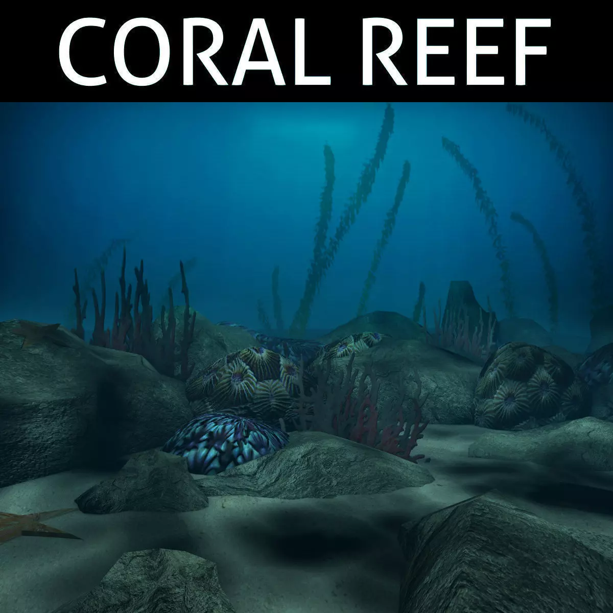 Coral reef low poly Low-poly 3D model_0