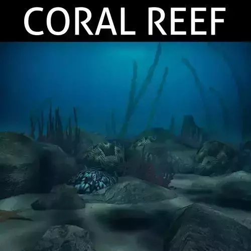 Coral reef low poly Low-poly 3D model