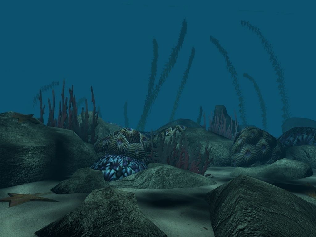 Coral reef low poly Low-poly 3D model_1