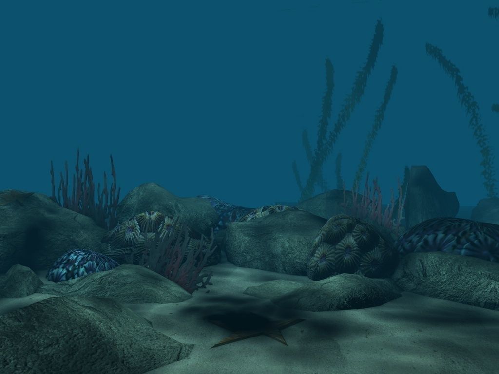 Coral reef low poly Low-poly 3D model_2