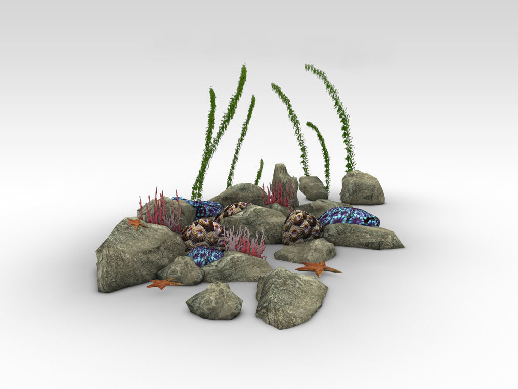 Coral reef low poly Low-poly 3D model_5