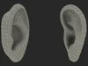 Realistic Human Ear Left 3D model | CGTrader