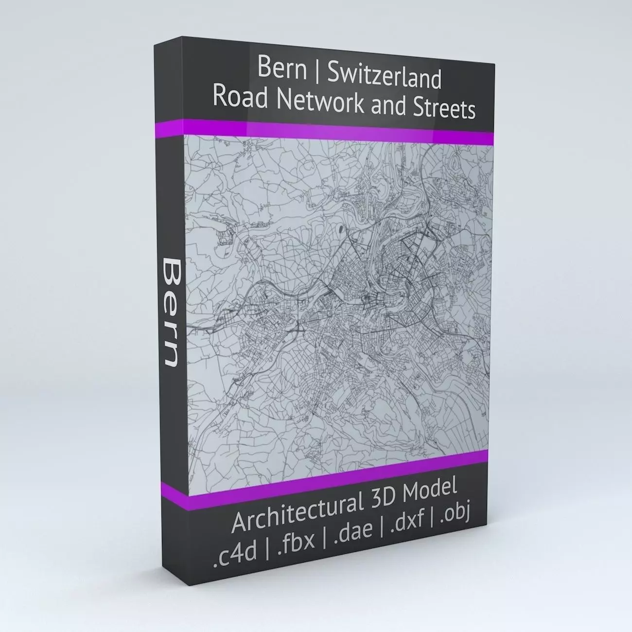Bern Road Network and Streets 3D model_0