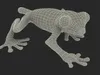 Realistic Tree Frog Rigged 3D model rigged | CGTrader