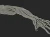 Arm Anatomy Asian Man 3D model | CGTrader